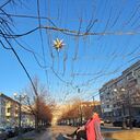 ���������� ������������, ���� ������� �����, 47 ���, ������������ ��� ������, ����� � ���������