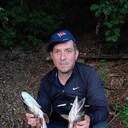  ,   , 45 ,   ,   