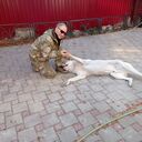 ���������� ���������, ���� ������� ������ ����, 36 ���, ������������ ��� ������, ����� � ���������