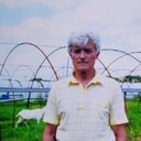 ���������� �����������, ���� ������� ��������, 75 ���, ������������ ��� ������, ����� � ���������