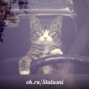 ���������� �����, ���� ������� �����, 42 ����, ������������ ��� ������, ����� � ���������, c�������� ���������