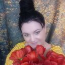  ,   , 41 ,   