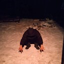 ���������� �������, ���� ����� ����, 24 ����, ������������ ��� ������, ����� � ���������, c�������� ���������