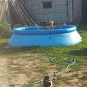 ���������� �����-���������, ���� ������� ������, 37 ���, ������������ ��� ������, ����� � ���������