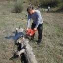 ���������� �����������, ���� ������� ������, 37 ���, ������������ ��� ������, ����� � ���������, c�������� ���������