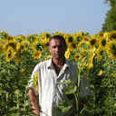 ���������� �������, ���� ������� ����, 46 ���, ������������ ��� ������