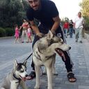  ,   Zaur, 34 ,     , c 
