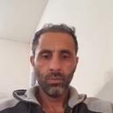 Dolphin,   Basher, 38 ,   ,   