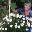 ���������� �����-���������, ���� ������� �����, 56 ���, ������������ ��� ����� � ���������, c�������� ���������