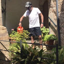  Venice,   Georgeharris, 60 ,     , c 