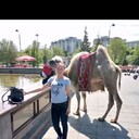 ���������� ������, ���� ������� �������, 43 ����, ������������ ��� ������, ����� � ���������