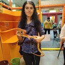 ,   , 34 ,   