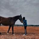 ���������� �������, ���� ������� Catalina, 34 ����, ������������ ��� ������, ���������