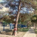 ���������� �������, ���� ������� �����, 45 ���, ������������ ��� ������, ����� � ���������, c�������� ���������