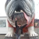 ���������� ����, ���� ������� �������, 53 ����, ������������ ��� ������, ����� � ���������