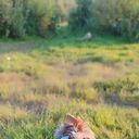 ���������� ������, ���� ������� ������, 54 ����, ������������ ��� ������, ����� � ���������