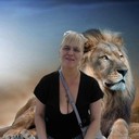 ���������� ���������, ���� ������� ���, 37 ���, ������������ ��� ������, ����� � ���������, c�������� ���������