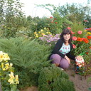  ,   , 55 ,   ,   , c 