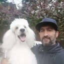 ���������� ������, ���� ������� �����, 45 ���, ������������ ��� ������, ����� � ���������