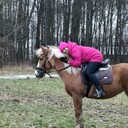 ���������� ������, ���� ������� ���������, 30 ���, ������������ ��� ������, ����� � ���������, c�������� ���������