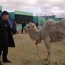 ���������� �������, ���� ������� ������, 46 ���, ������������ ��� ������, ����� � ���������, c�������� ���������