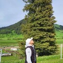 ���������� ������, ���� ������� ������, 28 ���, ������������ ��� ������, ����� � ���������