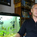  ,   , 58 ,   