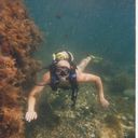 ���������� ��������������, ���� ������� ����, 44 ����, ������������ ��� ������, ����� � ���������, c�������� ���������