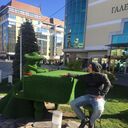 ���������� ���������, ���� ����� �����, 24 ����, ������������ ��� ������, ����� � ���������, c�������� ���������