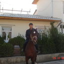  ,   EHSON, 40 ,     , c 