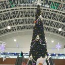 ���������� �������, ���� ������� �����, 32 ����, ������������ ��� ������, ����� � ���������, c�������� ���������