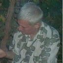 ���������� ����, ���� ������� Taras, 68 ���, ������������ ��� ������, ����� � ���������, c�������� ���������