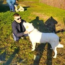 ���������� ��������, ���� ������� ������, 31 ���, ������������ ��� ������, ����� � ���������