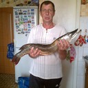  ,   , 62 ,   