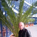 ���������� ������, ���� ������� Yra, 44 ����, ������������ ��� ������, ����� � ���������, c�������� ���������, ���������