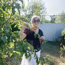 ���������� ��������, ���� ������� ����, 61 ���, ������������ ��� ����� � ���������, ���������