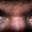 ���������� �����, ���� ������� �������, 33 ����, ������������ ��� ������, ����� � ���������