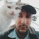 ���������� ������, ���� ������� �����, 28 ���, ������������ ��� ������, ����� � ���������, ���������