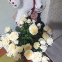 ���������� ������, ���� ������� ���������, 51 ���, ������������ ��� ������, ����� � ���������, c�������� ���������