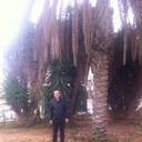  Or Yehuda,   , 39 ,   