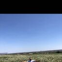 ���������� ����������, ���� ������� ������, 41 ���, ������������ ��� ������, ����� � ���������, c�������� ���������, ���������