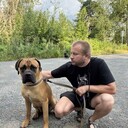 ���������� �������, ���� ������� ������, 40 ���, ������������ ��� ������, ���������