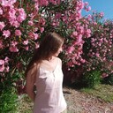 ���������� ���������, ���� ������� �����, 42 ����, ������������ ��� ����� � ���������, c�������� ���������