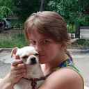 ���������� ������, ���� ������� Stella, 31 ���, ������������ ��� c�������� ���������, ���������