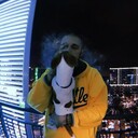 ���������� ������, ���� ������� Romario, 33 ����, ������������ ��� ������, ����� � ���������