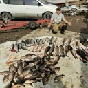 ���������� ���������, ���� ������� ��������, 35 ���, ������������ ��� ����� � ���������, c�������� ���������, ���������