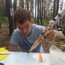 ���������� ���������, ���� ������� �����, 38 ���, ������������ ��� ������, ����� � ���������, c�������� ���������