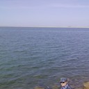 ���������� ��������, ���� ������� ����, 42 ����, ������������ ��� ������, ����� � ���������, c�������� ���������