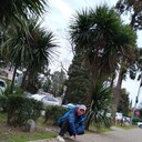  ,   , 46 ,   ,   , c 