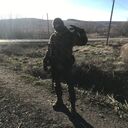  ,   , 34 ,   ,   , 